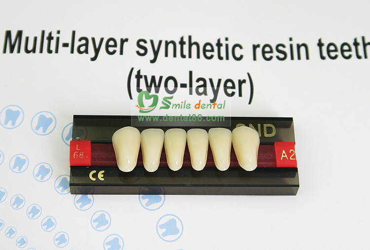 SDT-R203 Two Layer Acrylic Resin Teeth